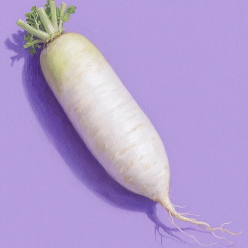 白蘿蔔