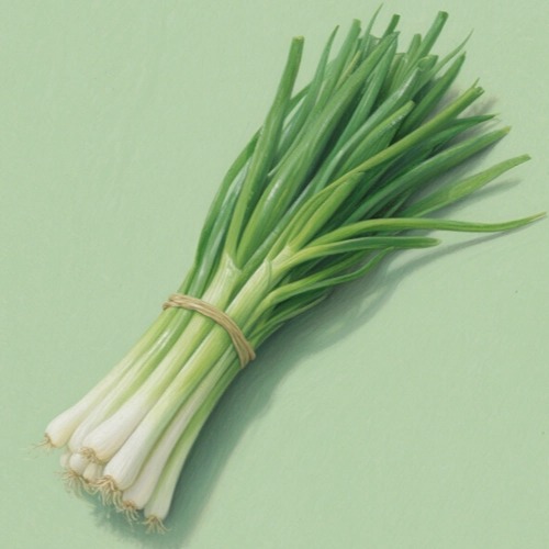 韭菜