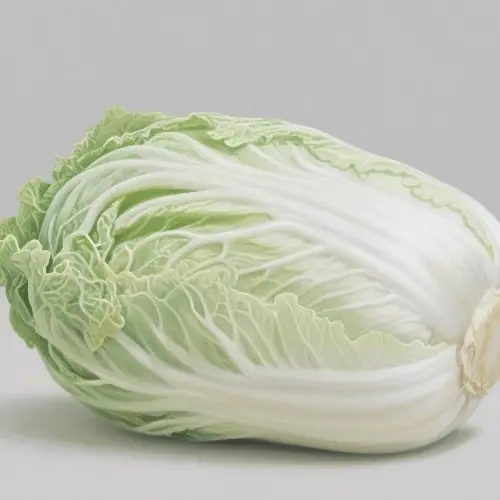 大白菜